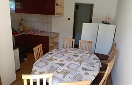 Cabana munte, 60 mp, zona iesire Praid 