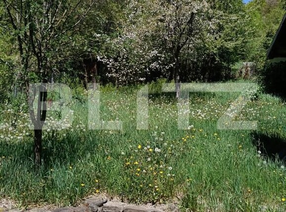 Casa de vânzare 3 camere Sovata - 194679CV | BLITZ Târgu Mureș | Poza4