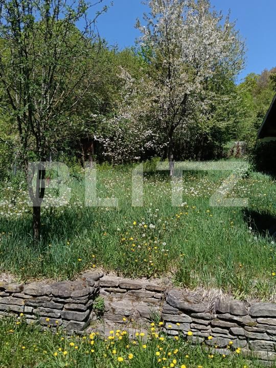 Casa de vânzare 3 camere Sovata - 194679CV | BLITZ Târgu Mureș | Poza4