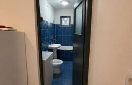 Apartament 3 camere semidecomandat, 50 mp, etaj 2, zona Dambul Pietros