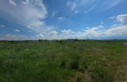 Teren extravilan, 4.4 ha, iesire la A3 - Ungheni