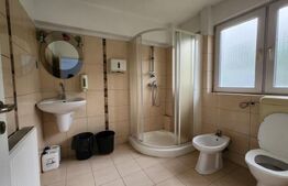 Inchiriere Spatiu comercial, 750 mp, zona Gara Mare