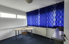 Inchiriere Spatiu comercial, 750 mp, zona Gara Mare