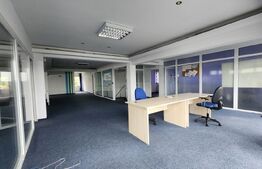 Inchiriere Spatiu comercial, 750 mp, zona Gara Mare