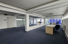 Inchiriere Spatiu comercial, 750 mp, zona Gara Mare