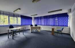 Inchiriere Spatiu comercial, 750 mp, zona Gara Mare