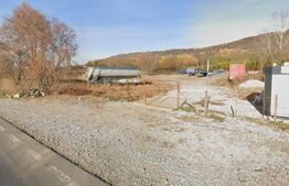 Teren 248734 aprox 25 Hectare, Parc Industrial
