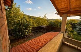 Casa la rosu de vânzare, zona Livezeni