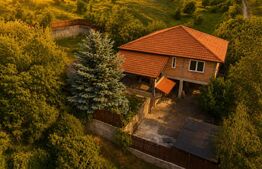 Casa la rosu de vânzare, zona Livezeni