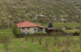 Casa la rosu de vânzare, 100 mp, zona Livezeni
