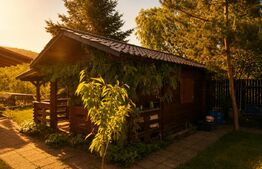 Casa la rosu de vânzare, zona Livezeni