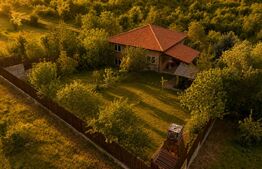 Casa la rosu de vânzare, zona Livezeni