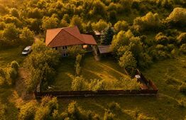 Casa la rosu de vânzare, zona Livezeni