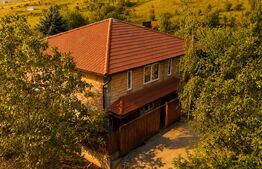 Casa la rosu de vânzare, zona Livezeni