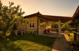 Casa la rosu de vânzare, zona Livezeni