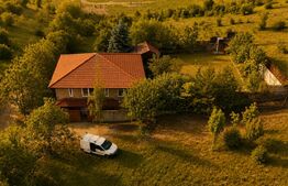 Casa la rosu de vânzare, zona Livezeni