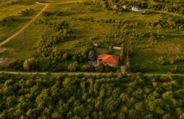 Casa la rosu de vânzare, zona Livezeni