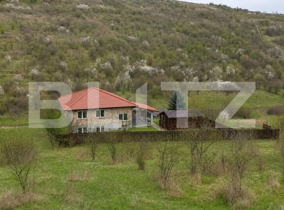 Casa de vânzare 3 camere Livezeni - 195623CV | BLITZ Târgu Mureș | Poza4