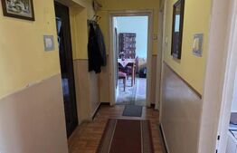 Apartament de vânzare, 48 mp, Strada Ialomiței, zona Piața de Ruși