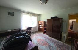 Apartament de vânzare, 48 mp, Strada Ialomiței, zona Piața de Ruși