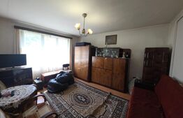 Apartament de vânzare, 48 mp, Strada Ialomiței, zona Piața de Ruși