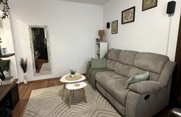 Apartament cu 2 camere, 35 mp, semidecomodat, mobilat/utilat, zona Dambu Pietros