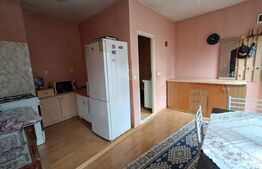 Casa Individuala Etaj si Demisol, zona Reghin 