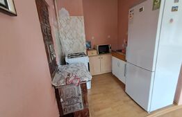 Casa Individuala Etaj si Demisol, zona Reghin 