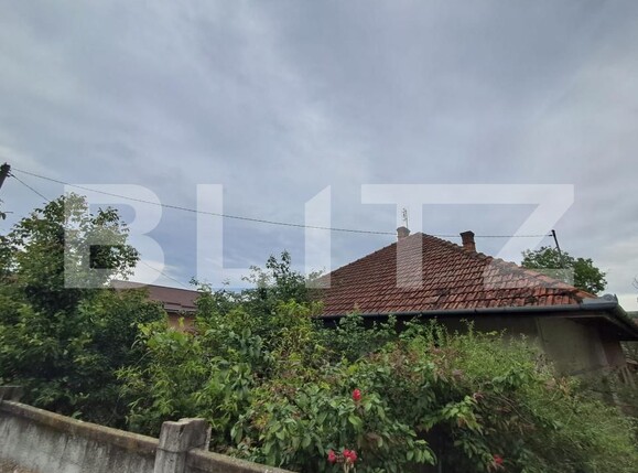 Casa de vânzare 3 camere Vest - 195948CV | BLITZ Târgu Mureș | Poza2