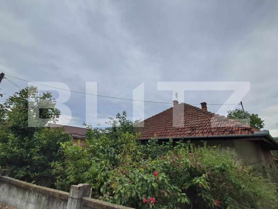 Casa de vânzare 3 camere Vest - 195948CV | BLITZ Târgu Mureș | Poza2