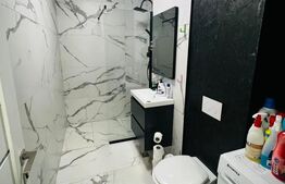 Apartament 2 dormitoare de inchiriat, 60 mp, zona Gara Mare 
