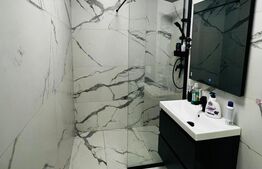 Apartament 2 dormitoare de inchiriat, 60 mp, zona Gara Mare 