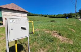 Teren intravilan, 9600 mp, zona 8 Martie
