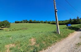 Teren intravilan, 9600 mp, zona 8 Martie