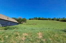 Teren intravilan, 9600 mp, zona 8 Martie