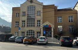 BLITZ prezintă clădire premium 