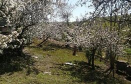 Casă de vânzare, 70 mp, zona Paingeni