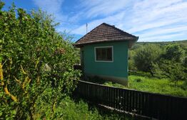 Casă de vânzare, 70 mp, zona Paingeni