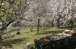 Casă de vânzare, 70 mp, zona Paingeni