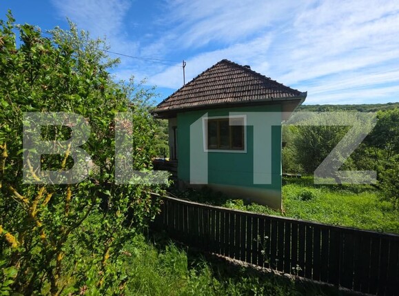 Casa de vânzare 4 camere Paingeni - 196555CV | BLITZ Târgu Mureș | Poza2