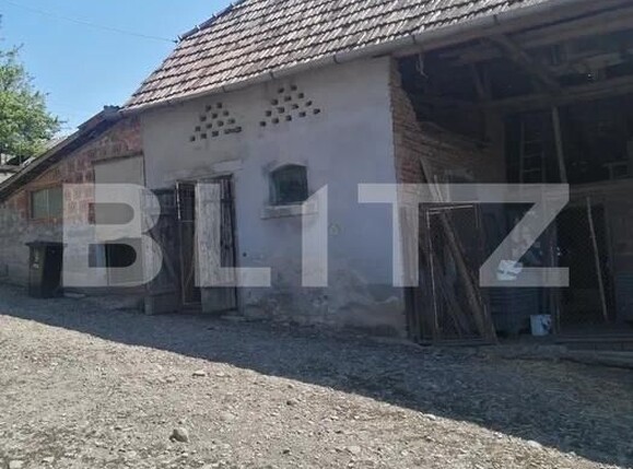Casa de vânzare 4 camere Paingeni - 196555CV | BLITZ Târgu Mureș | Poza4