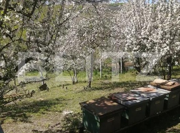 Casa de vânzare 4 camere Paingeni - 196555CV | BLITZ Târgu Mureș | Poza7