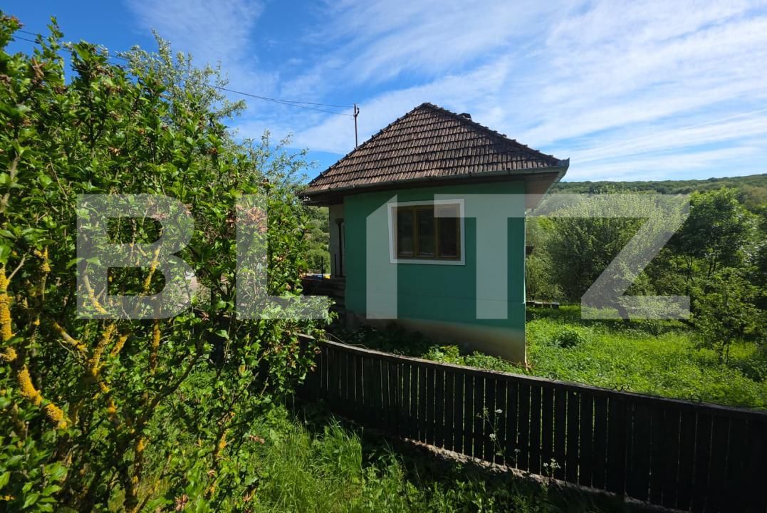 Casa de vânzare 4 camere Paingeni - 196555CV | BLITZ Târgu Mureș | Poza2