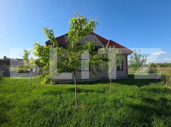 Casa de vânzare 4 camere Reghin - 196610CV | BLITZ Târgu Mureș | Poza14