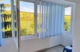 Apartament 3 camere, 48 mp, renovat complet - zona Dambu Pietros