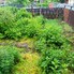 Apartament de vânzare 2 camere Deda - 196675AV - Poza 1 din 9 | BLITZ Târgu Mureș | Poza7