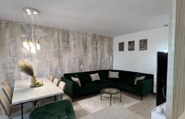 Apartament de Lux in Maurer Residence