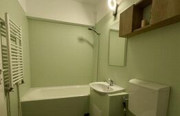 Apartament o camera, 35 mp, zona Dambu Pietros