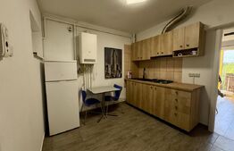 Apartament o camera, 35 mp, zona Dambu Pietros