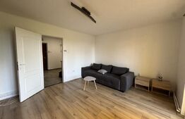 Apartament o camera, 35 mp, zona Dambu Pietros